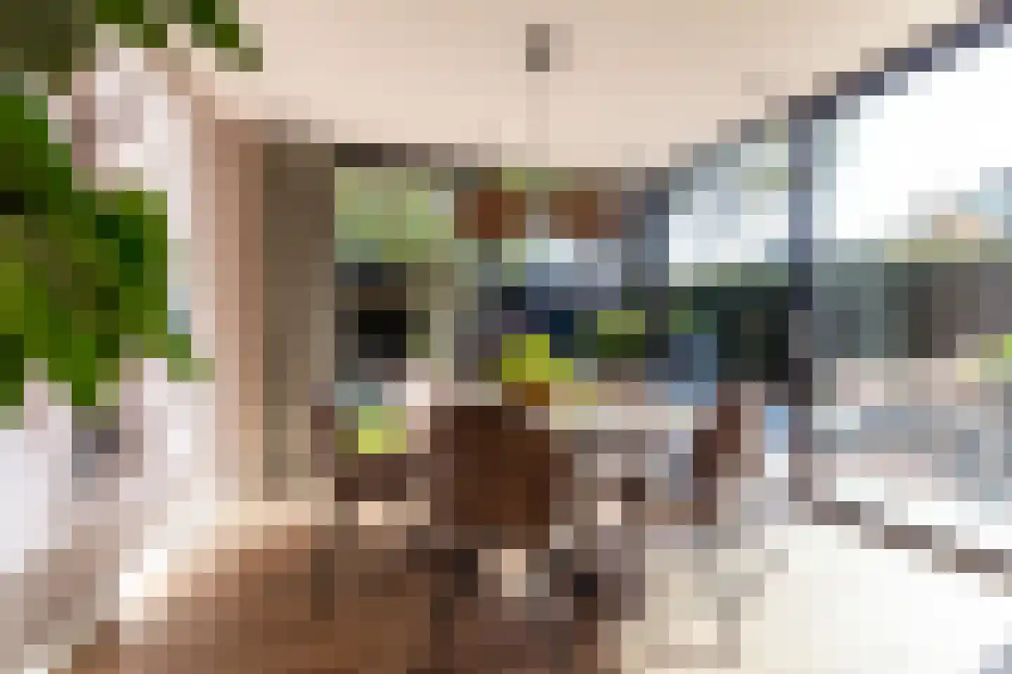Luttekepoortstraat 33 Harderwijk thumbnail 19
