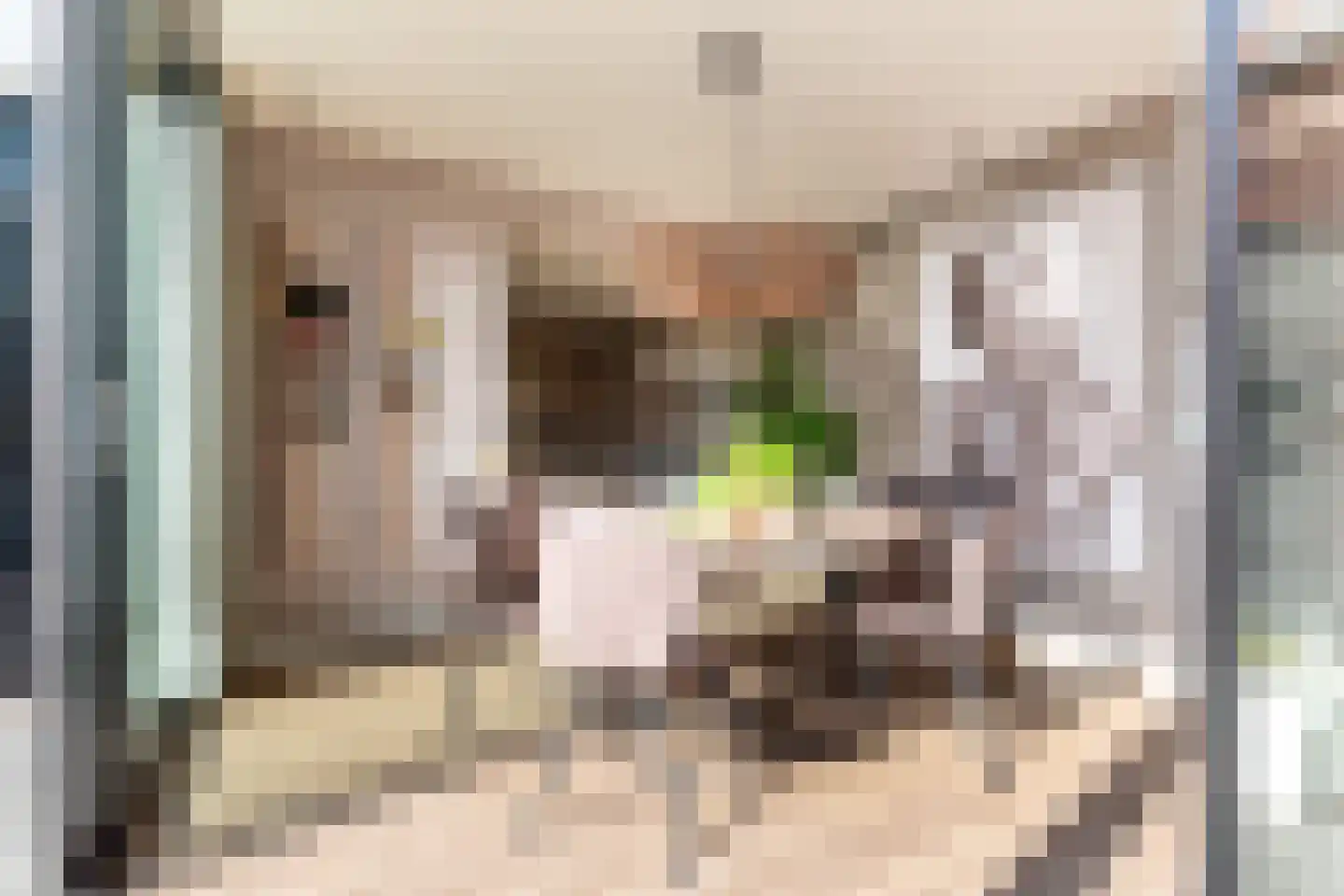 Luttekepoortstraat 33 Harderwijk thumbnail 20