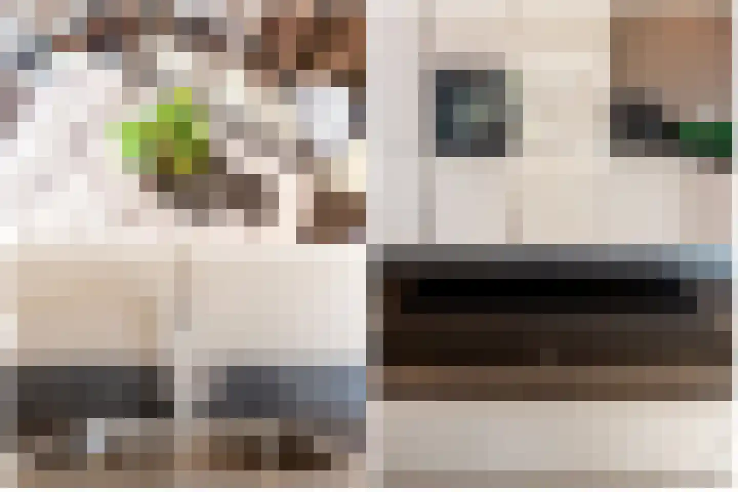 Luttekepoortstraat 33 Harderwijk thumbnail 21