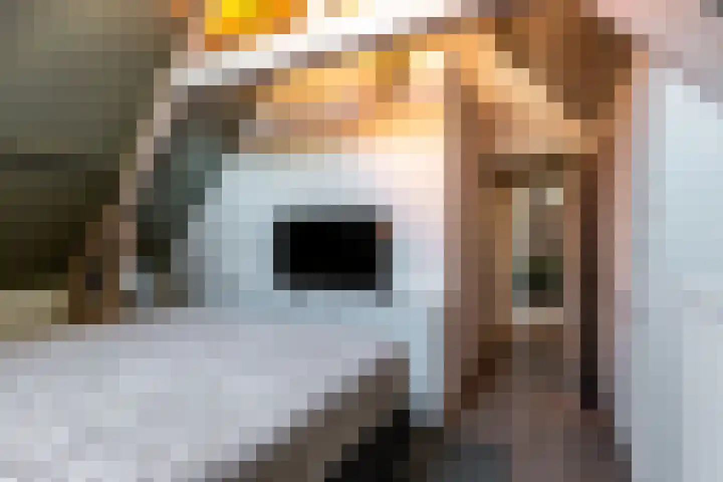 Luttekepoortstraat 33 Harderwijk thumbnail 25