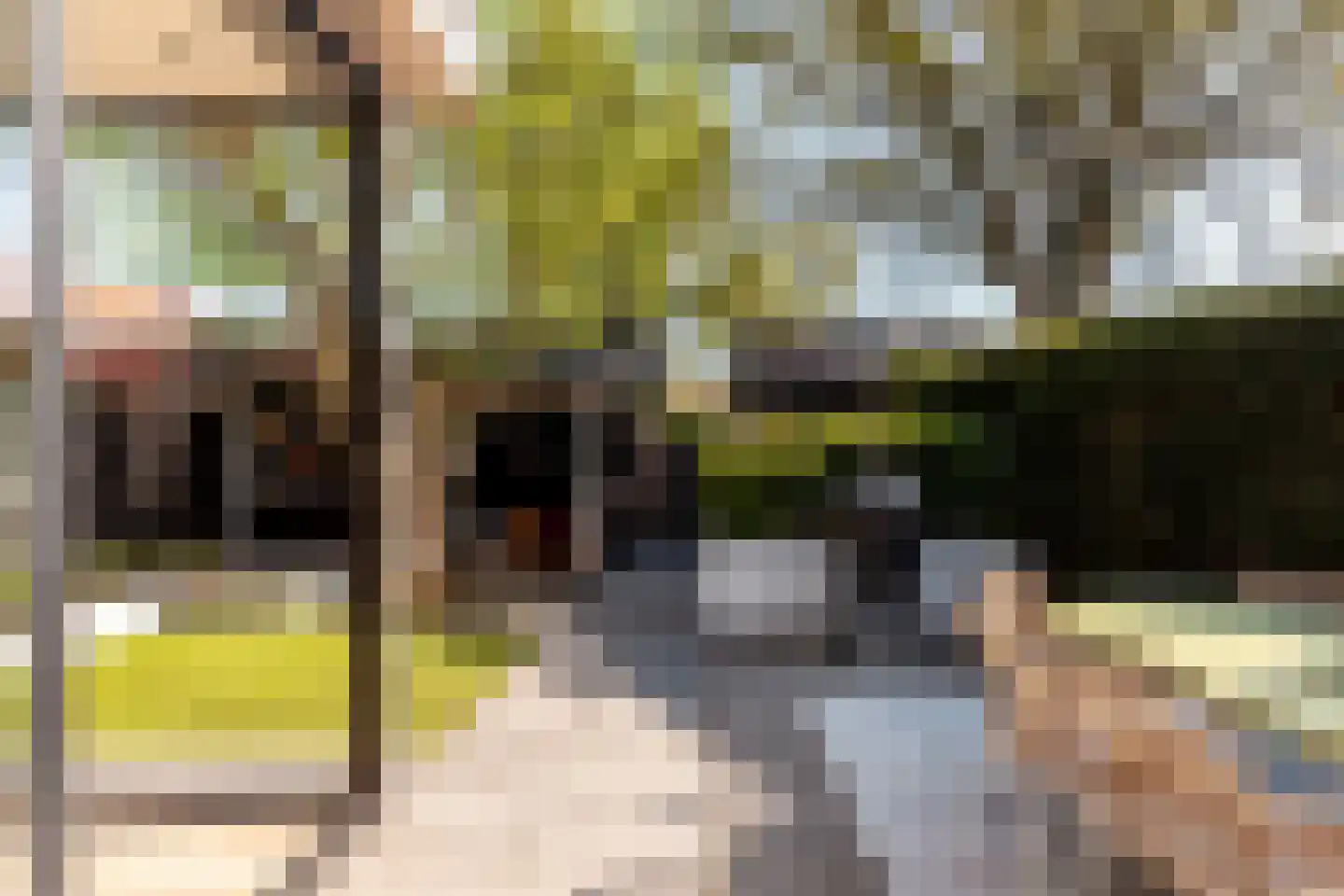 Luttekepoortstraat 33 Harderwijk thumbnail 35