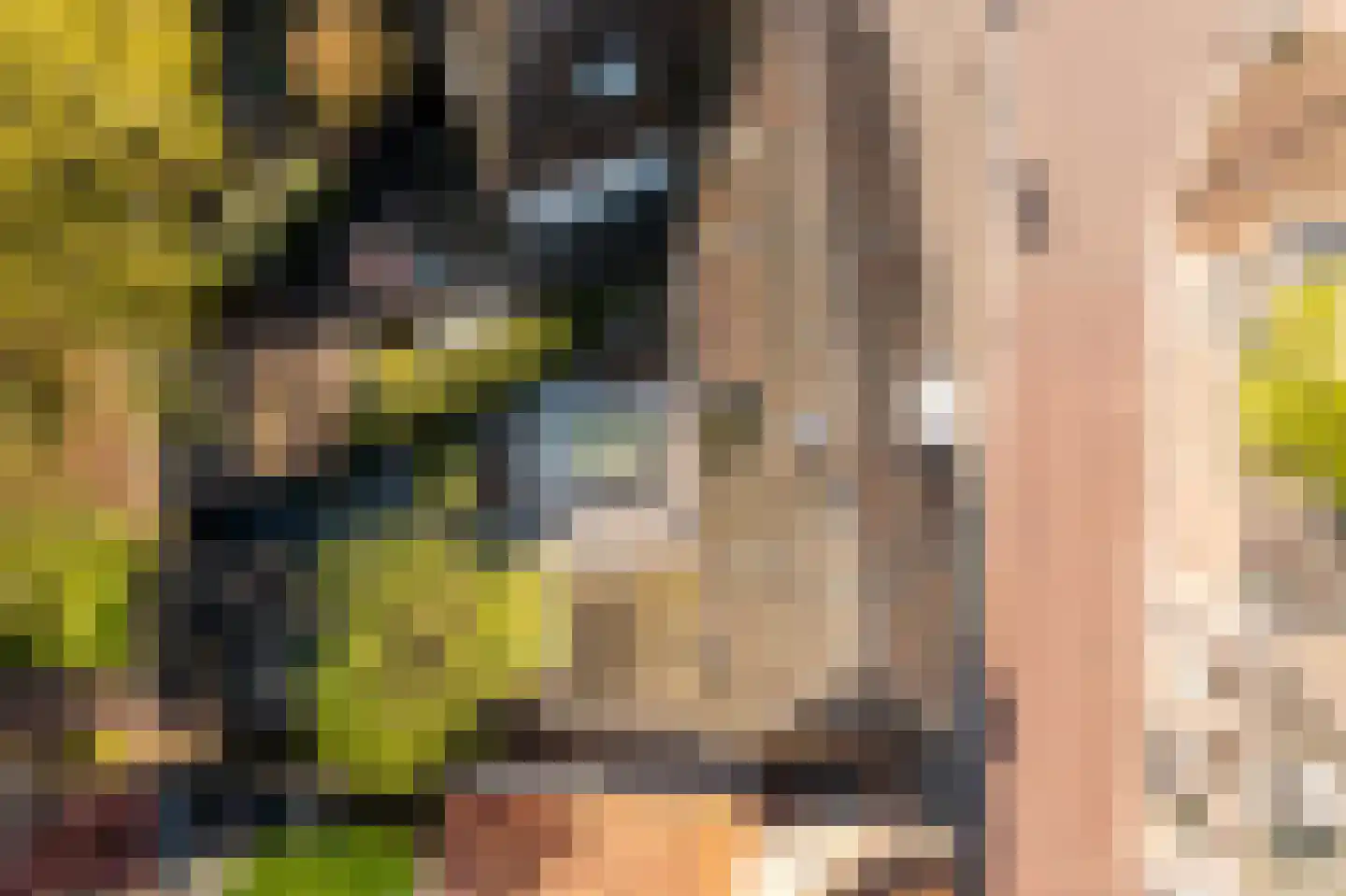 Luttekepoortstraat 33 Harderwijk thumbnail 46