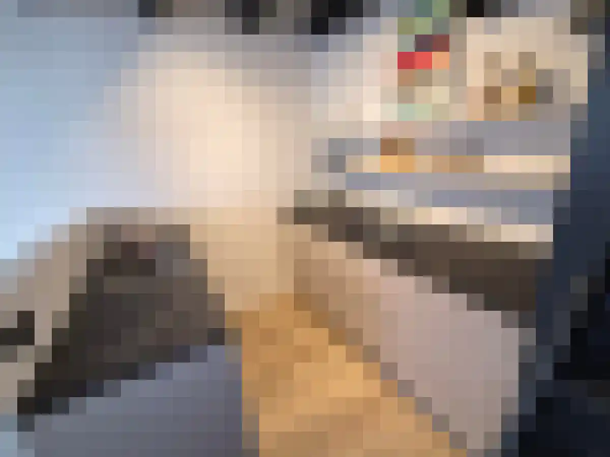 Luttekestraat 29 Zwolle thumbnail 6