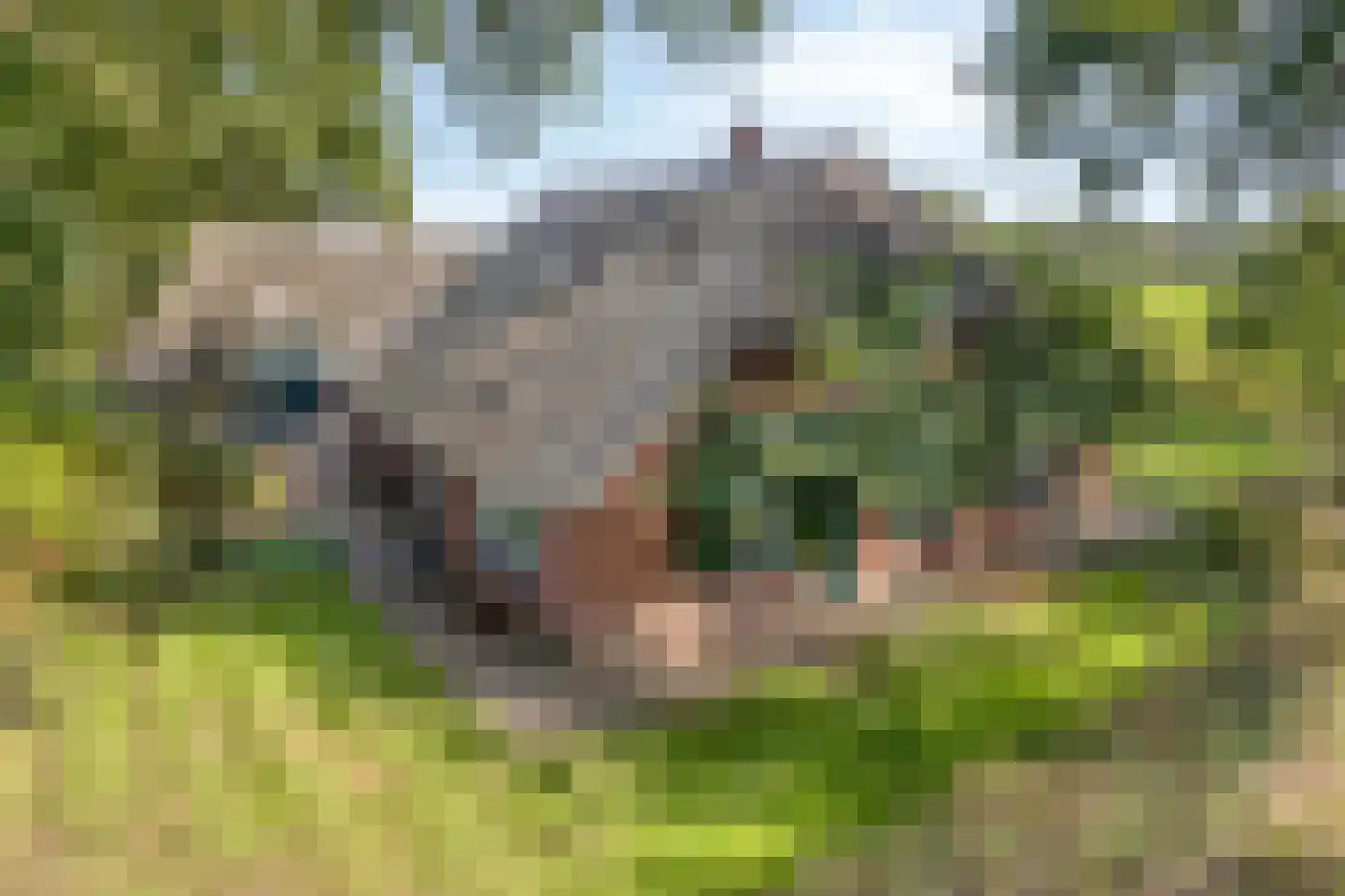 Luttekeveldweg 11 Markelo