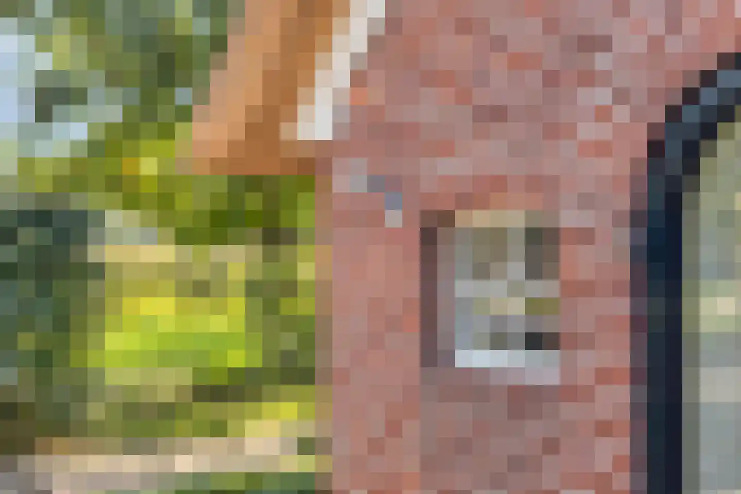 Luttekeveldweg 11 Markelo thumbnail 11