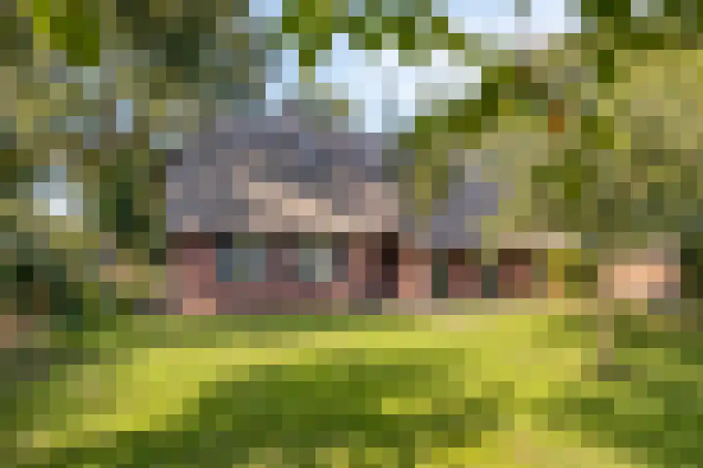 Luttekeveldweg 11 Markelo thumbnail 12