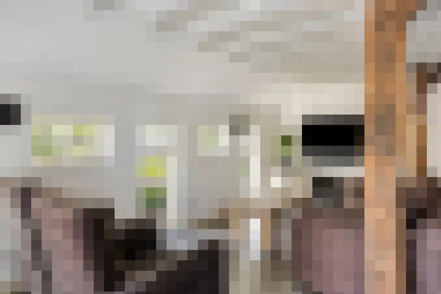 Luttekeveldweg 11 Markelo thumbnail 20