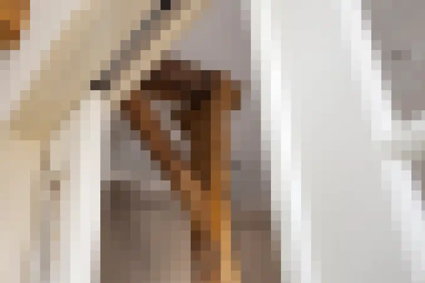 Luttekeveldweg 11 Markelo thumbnail 28