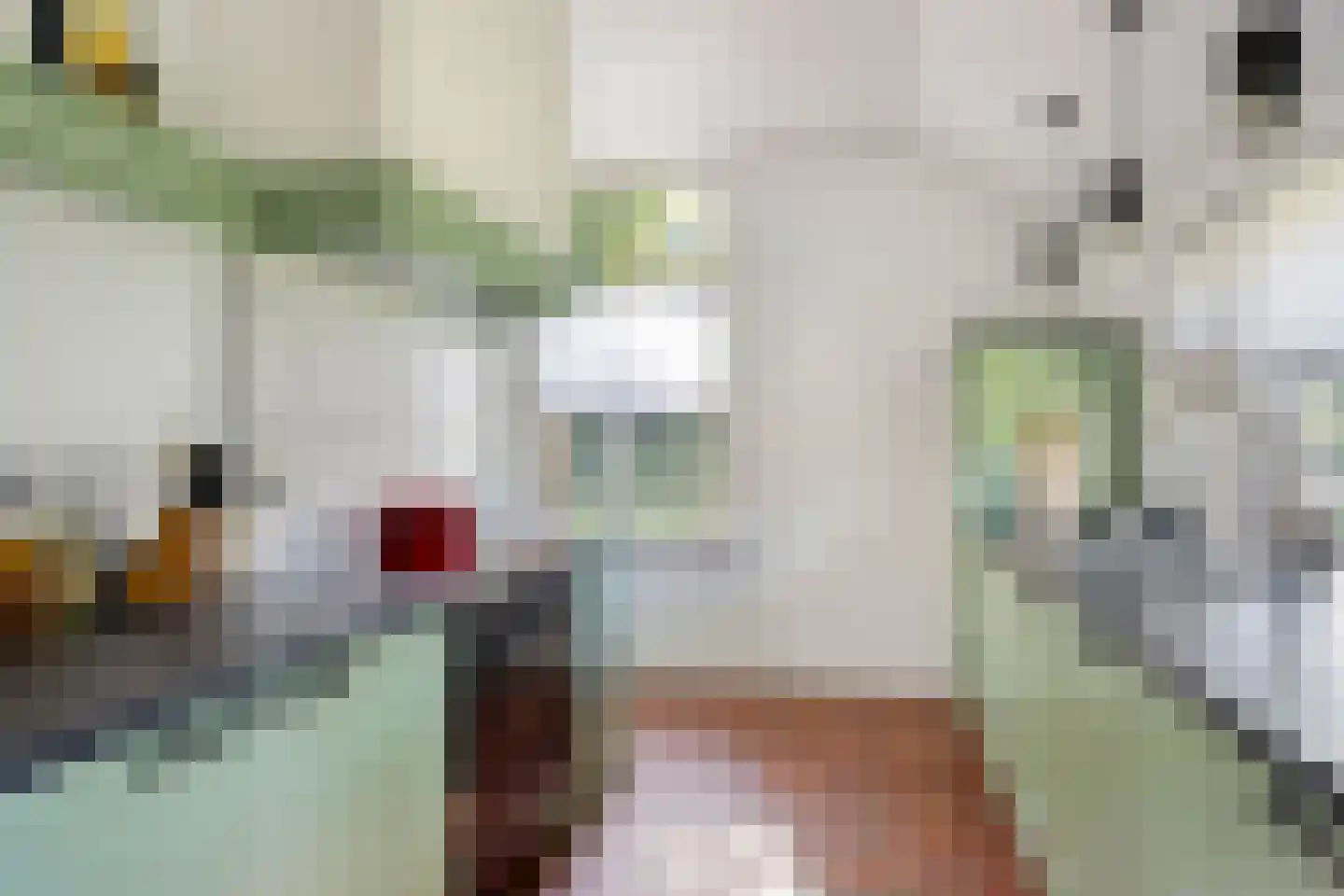 Luttekeveldweg 11 Markelo thumbnail 30