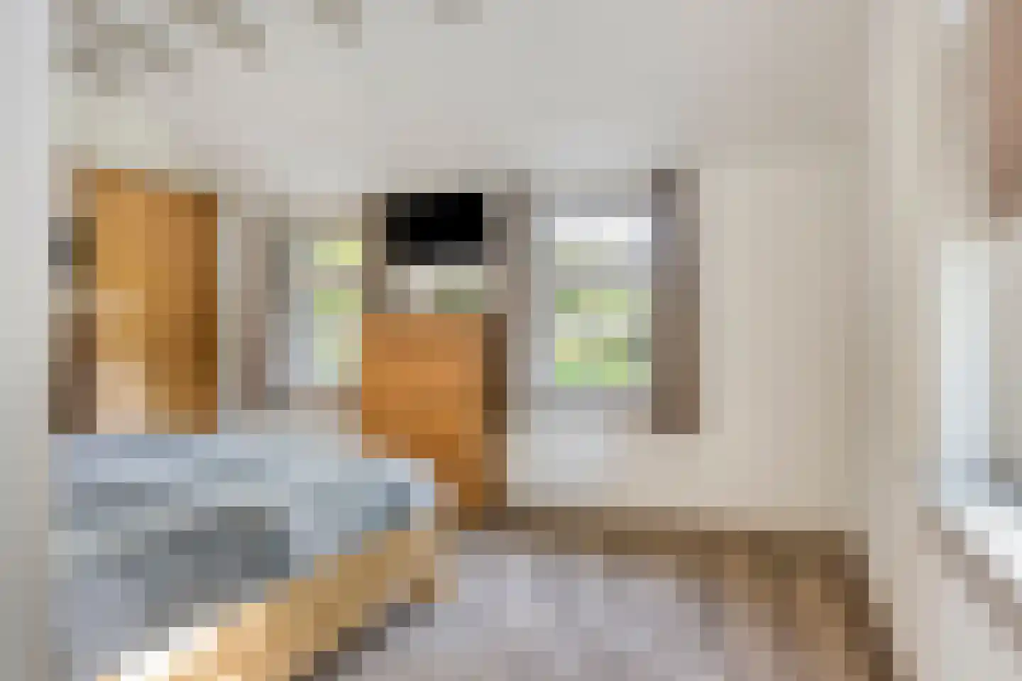 Luttekeveldweg 11 Markelo thumbnail 35