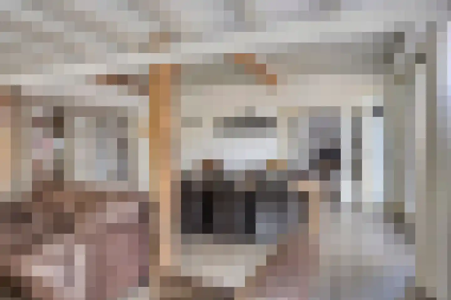 Luttekeveldweg 11 Markelo thumbnail 4