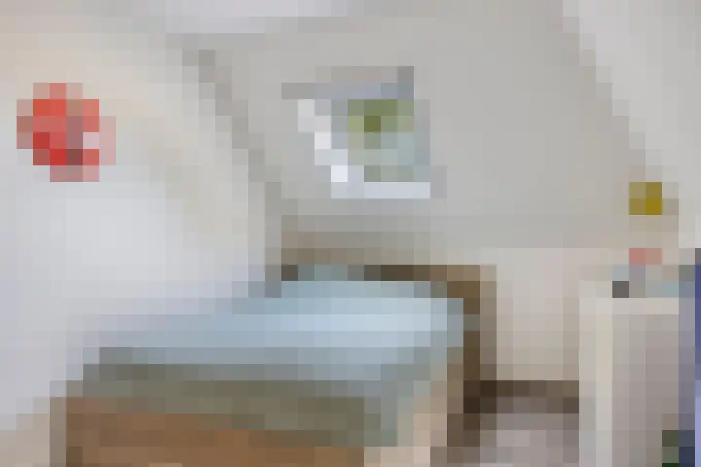 Luttekeveldweg 11 Markelo thumbnail 40