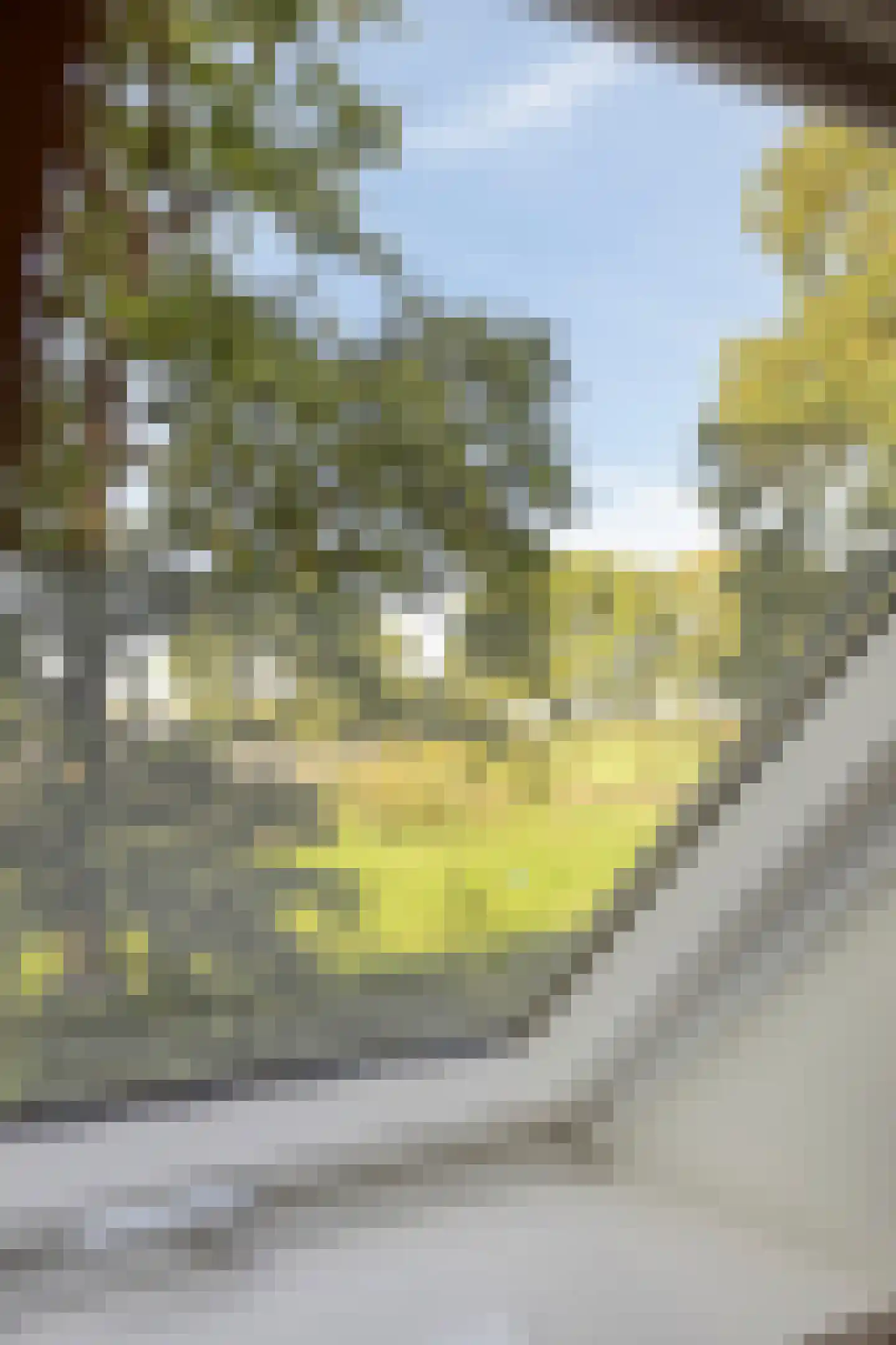 Luttekeveldweg 11 Markelo thumbnail 44