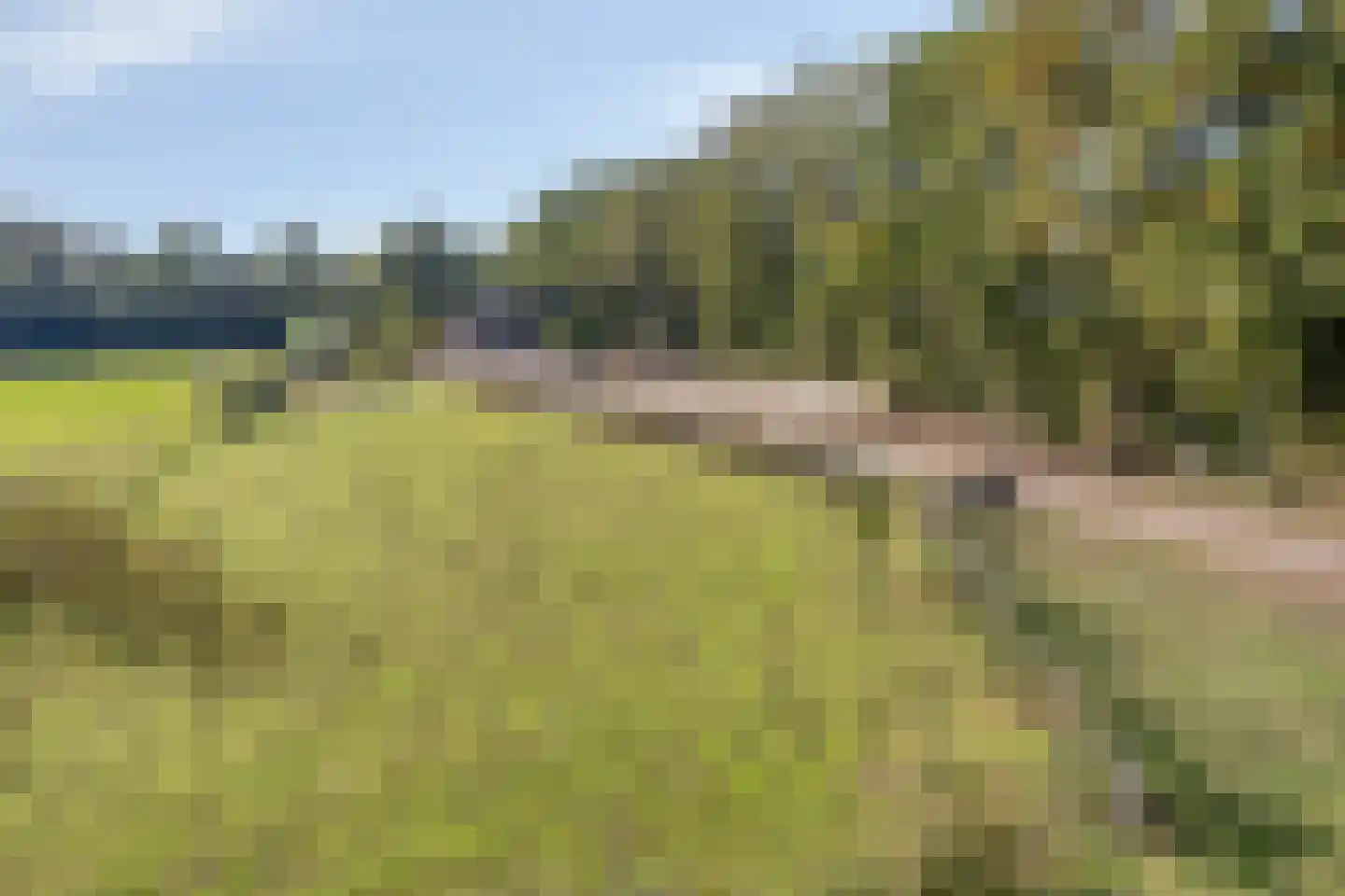 Luttekeveldweg 11 Markelo thumbnail 46