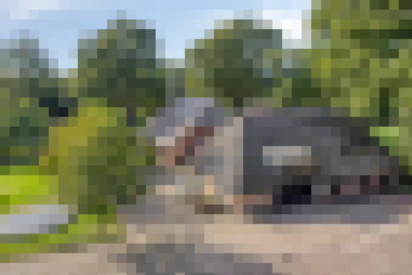Luttekeveldweg 11 Markelo thumbnail 48