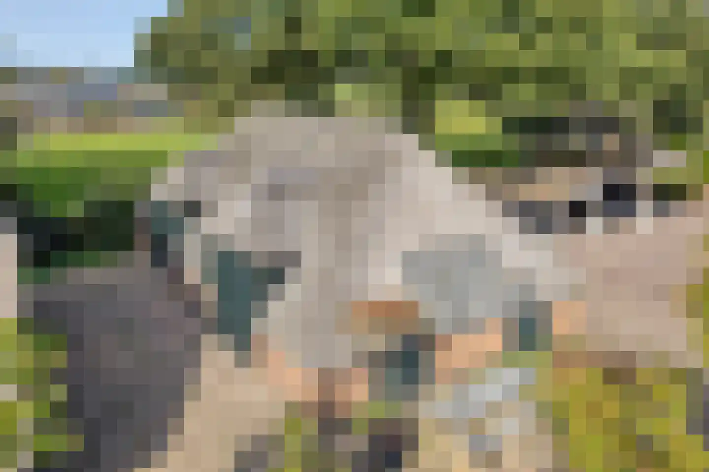 Luttekeveldweg 11 Markelo thumbnail 50