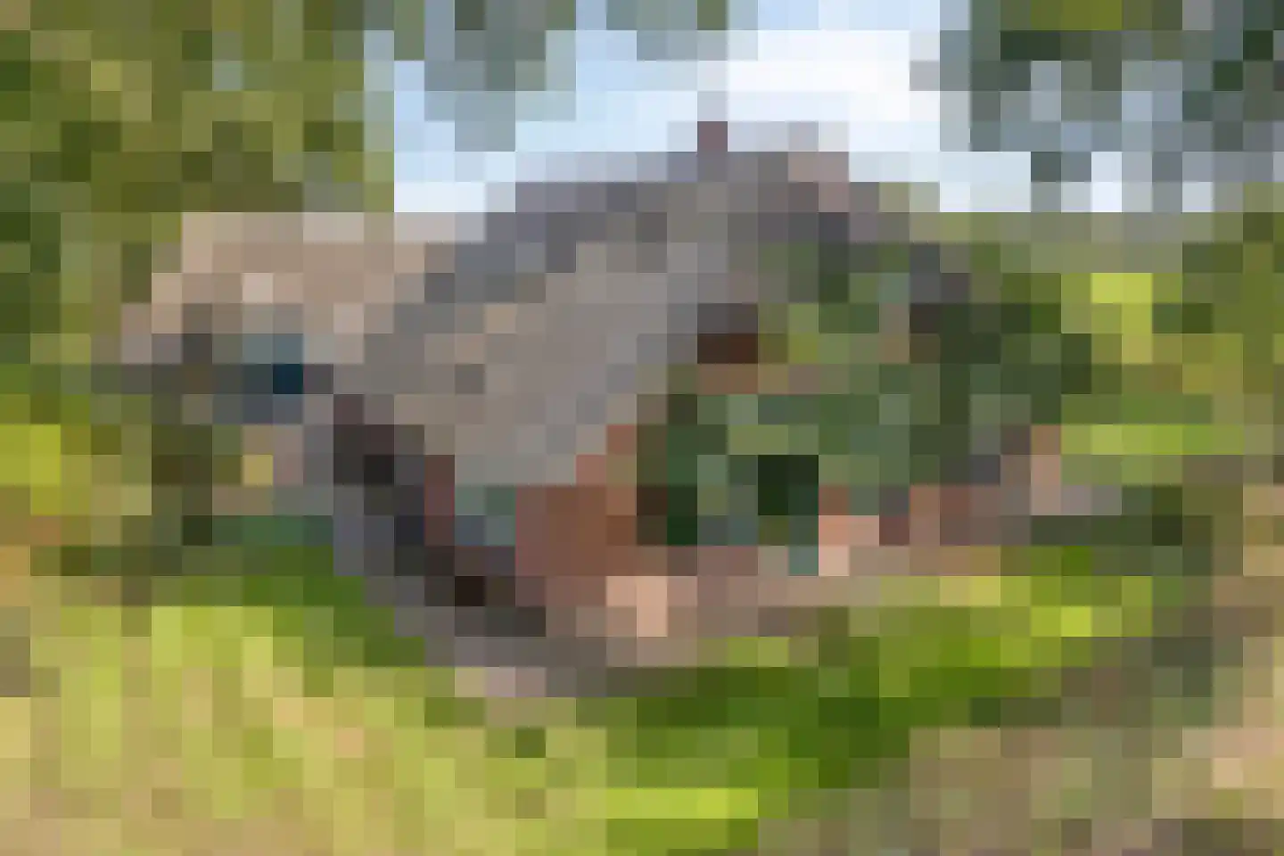 Luttekeveldweg 11 Markelo thumbnail 51