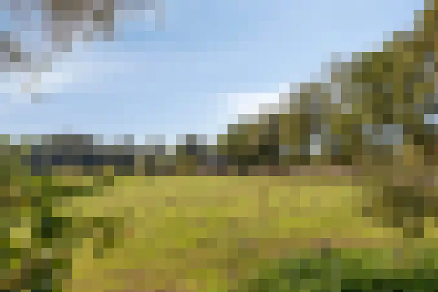 Luttekeveldweg 11 Markelo thumbnail 52