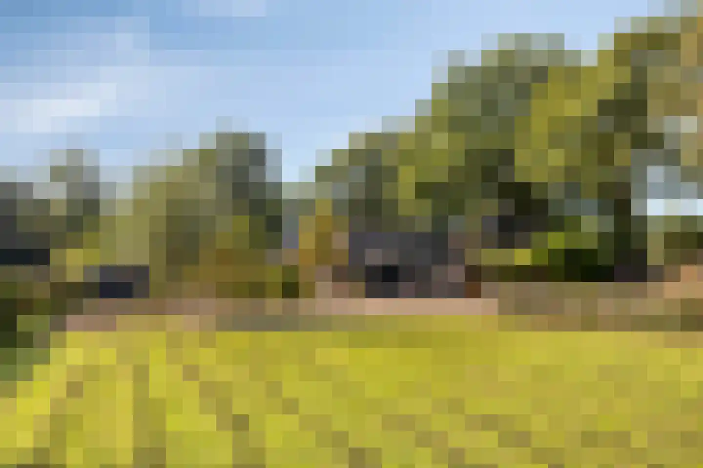 Luttekeveldweg 11 Markelo thumbnail 55