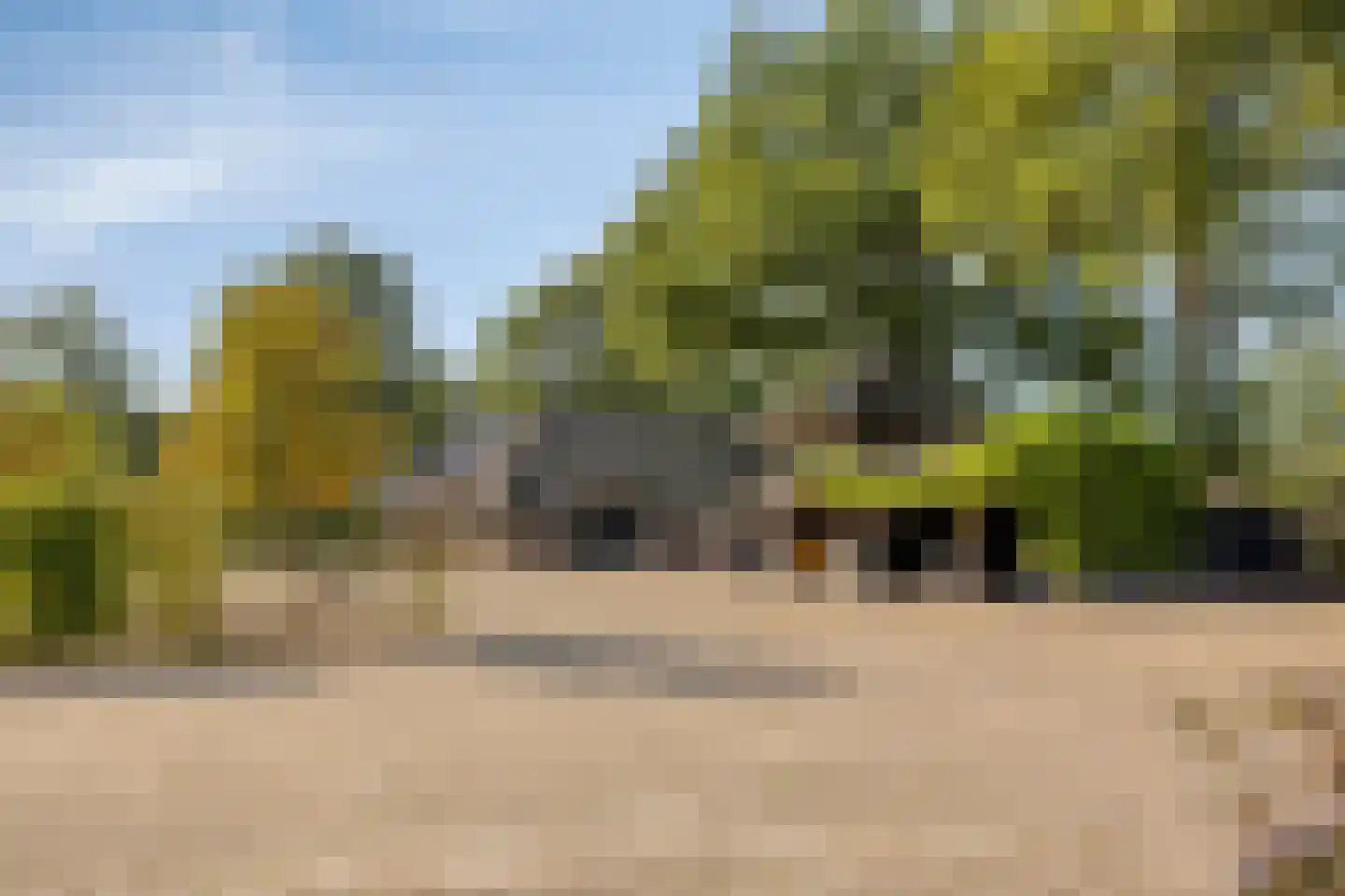 Luttekeveldweg 11 Markelo thumbnail 56