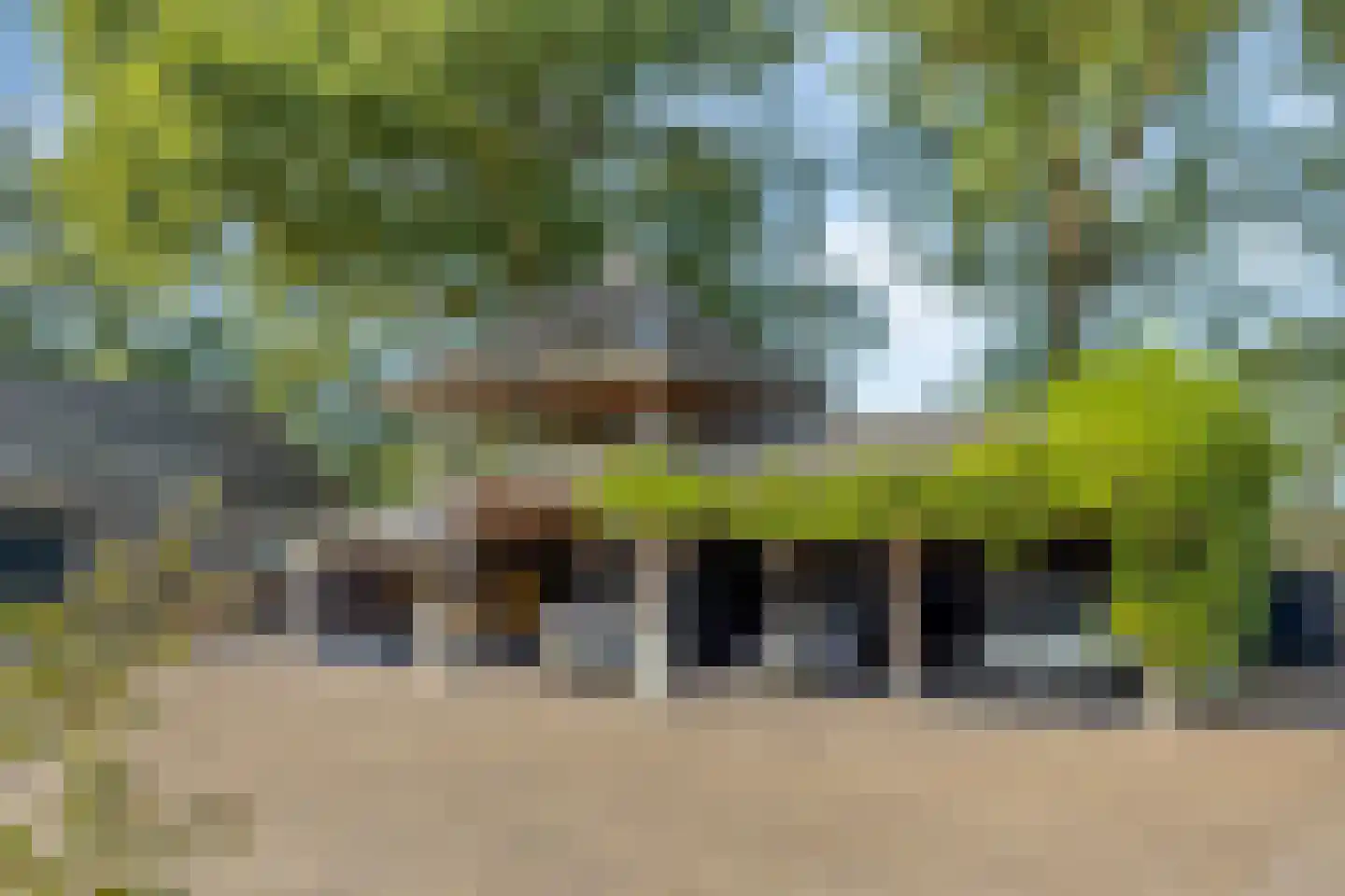 Luttekeveldweg 11 Markelo thumbnail 58