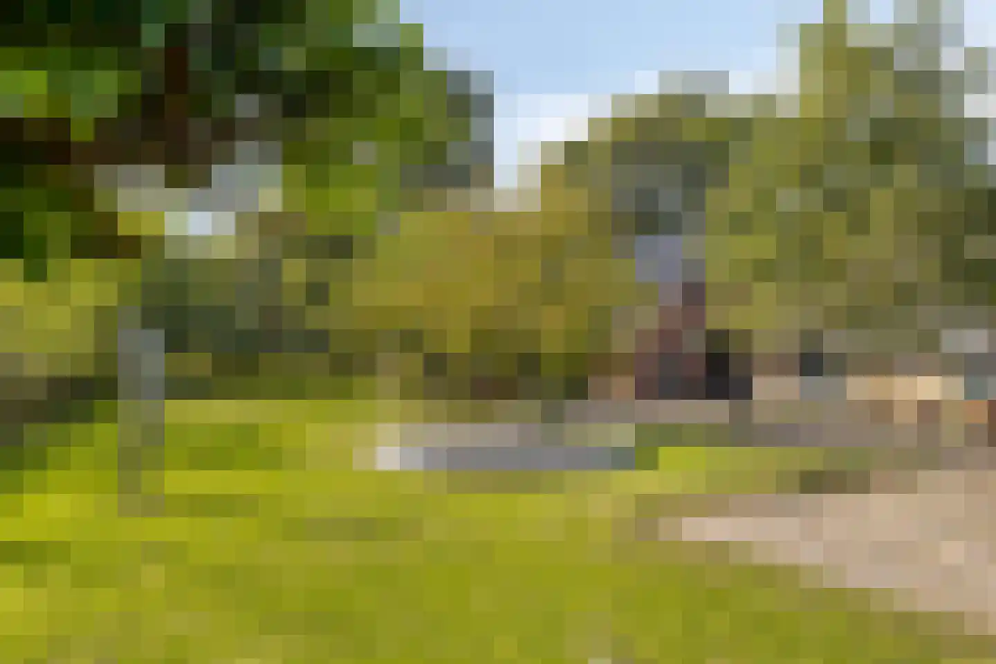 Luttekeveldweg 11 Markelo thumbnail 61