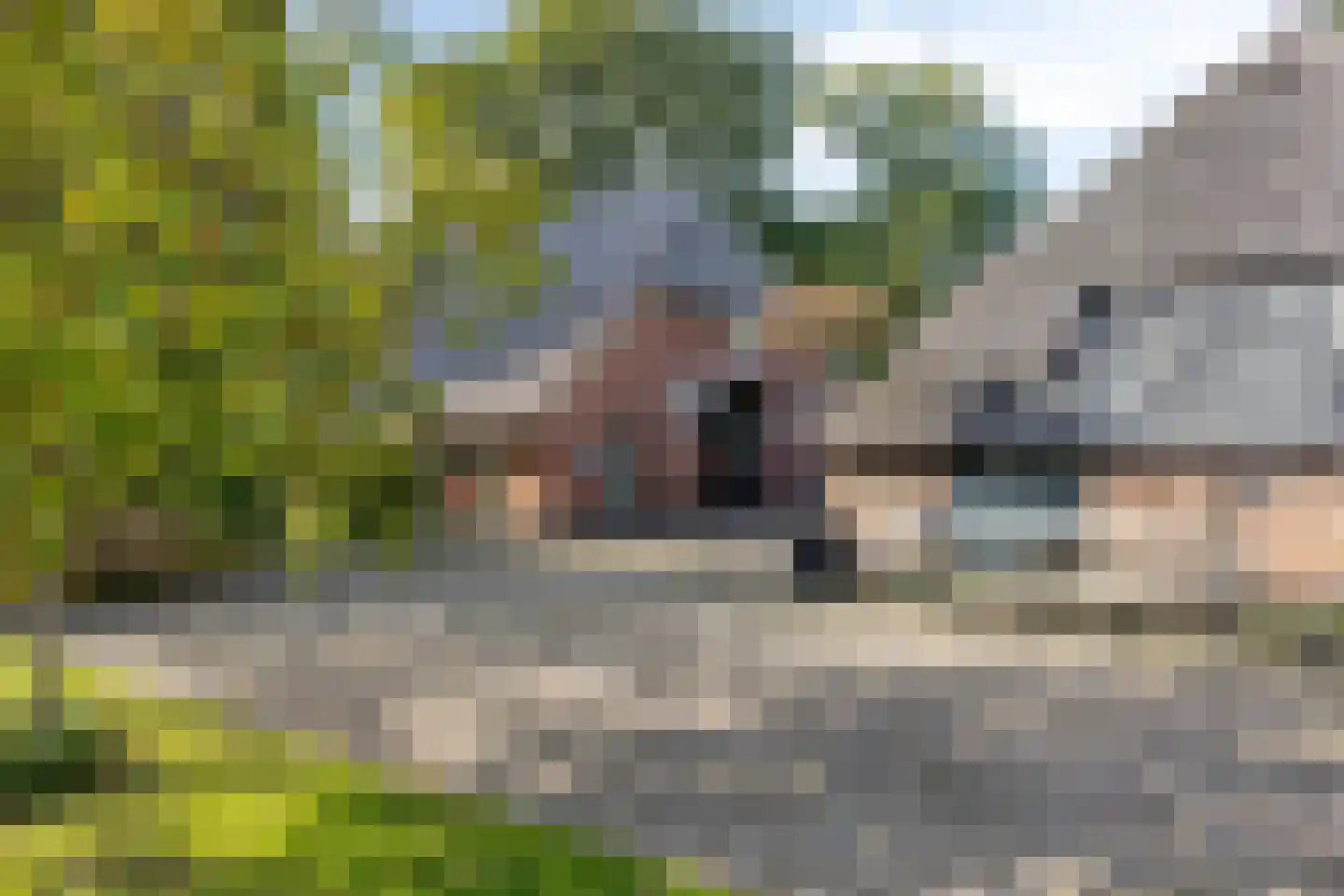 Luttekeveldweg 11 Markelo thumbnail 63