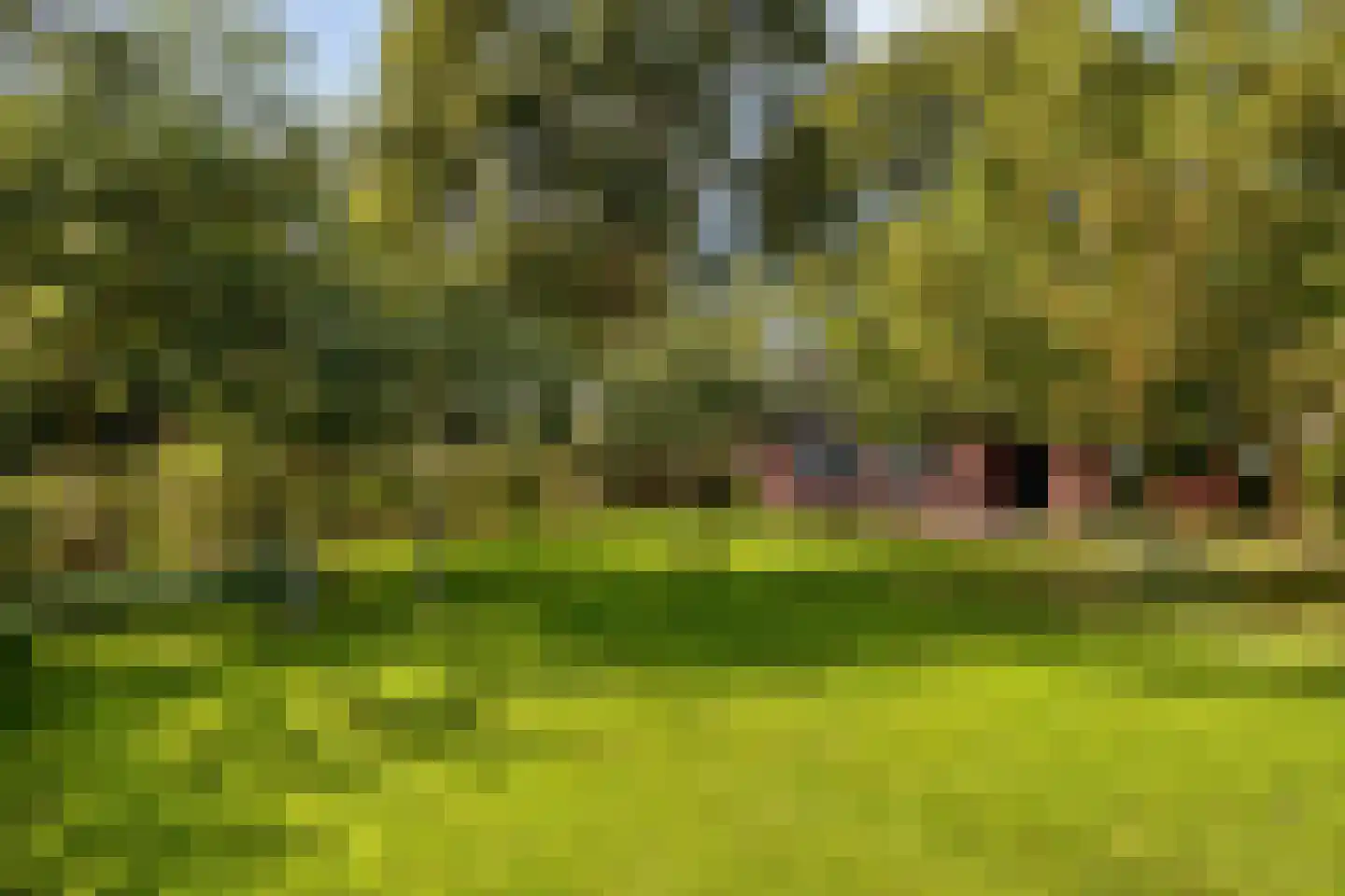 Luttekeveldweg 11 Markelo thumbnail 65
