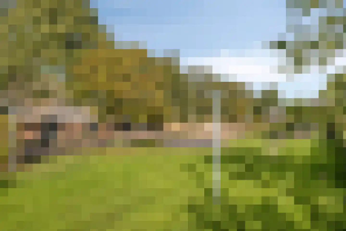 Luttekeveldweg 11 Markelo thumbnail 66