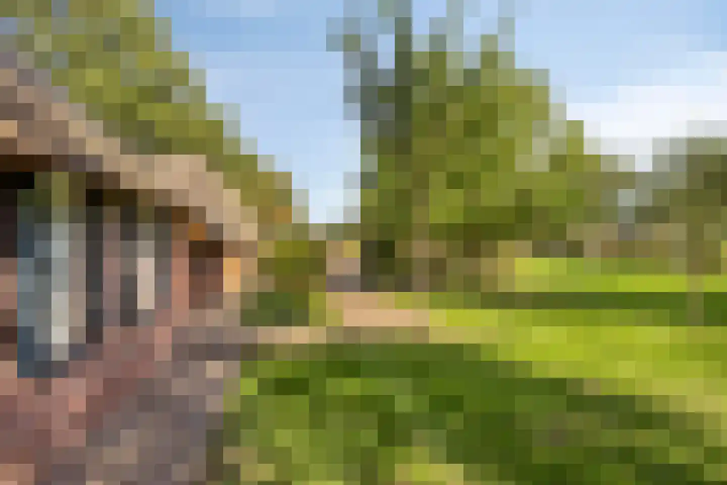Luttekeveldweg 11 Markelo thumbnail 67