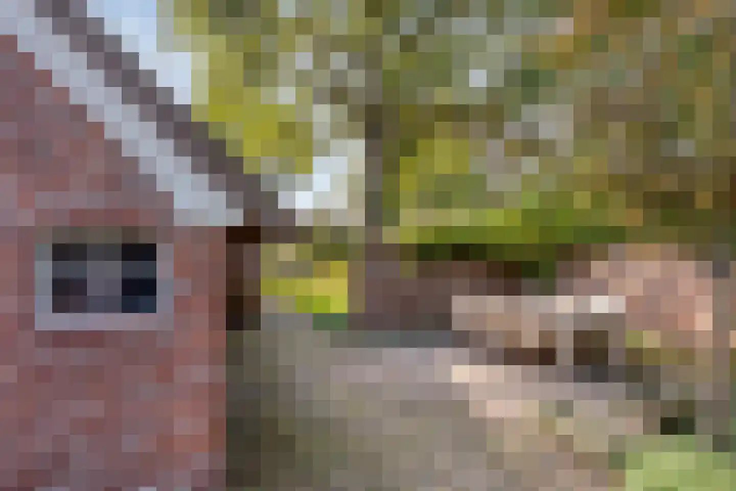 Luttekeveldweg 11 Markelo thumbnail 73