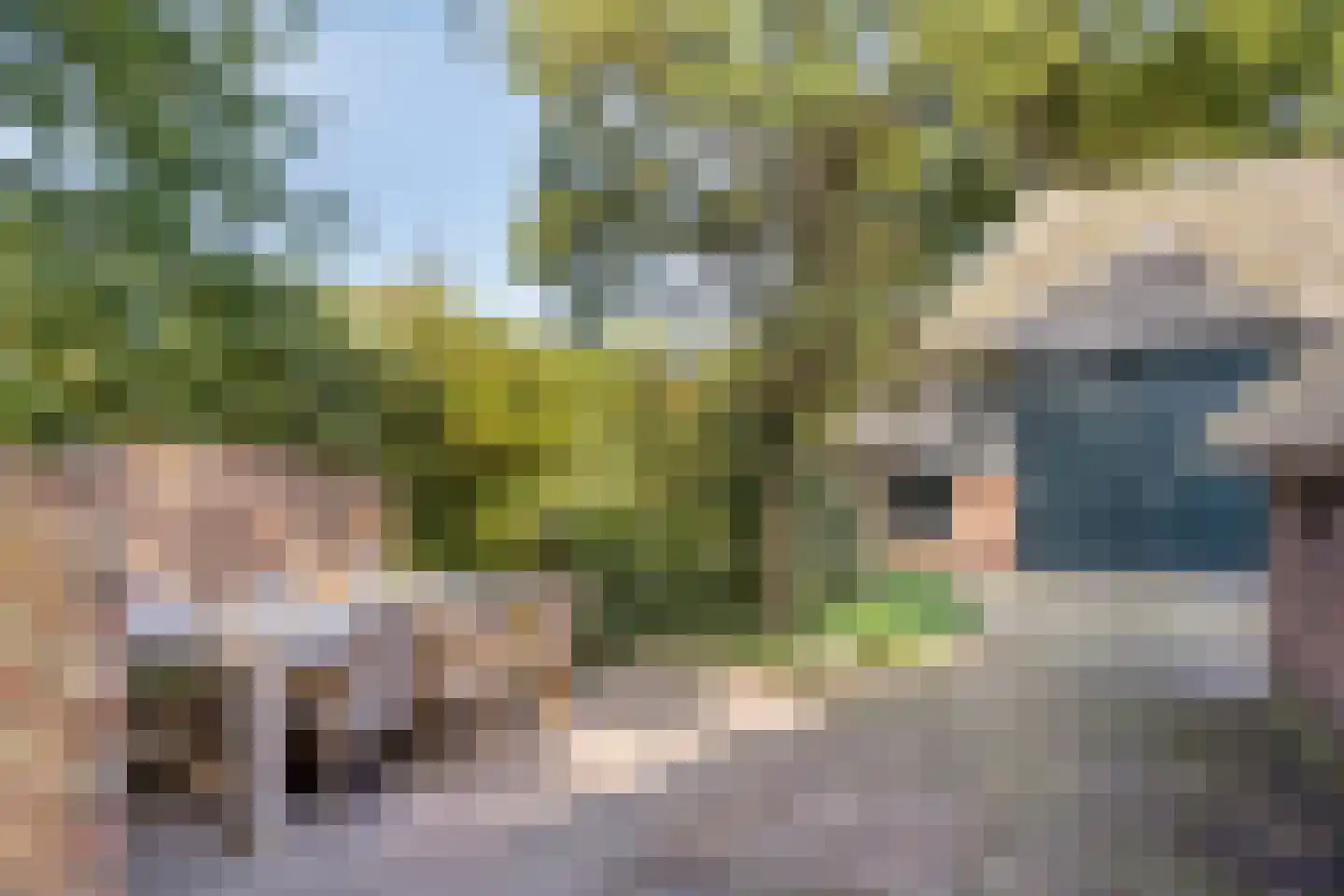 Luttekeveldweg 11 Markelo thumbnail 74