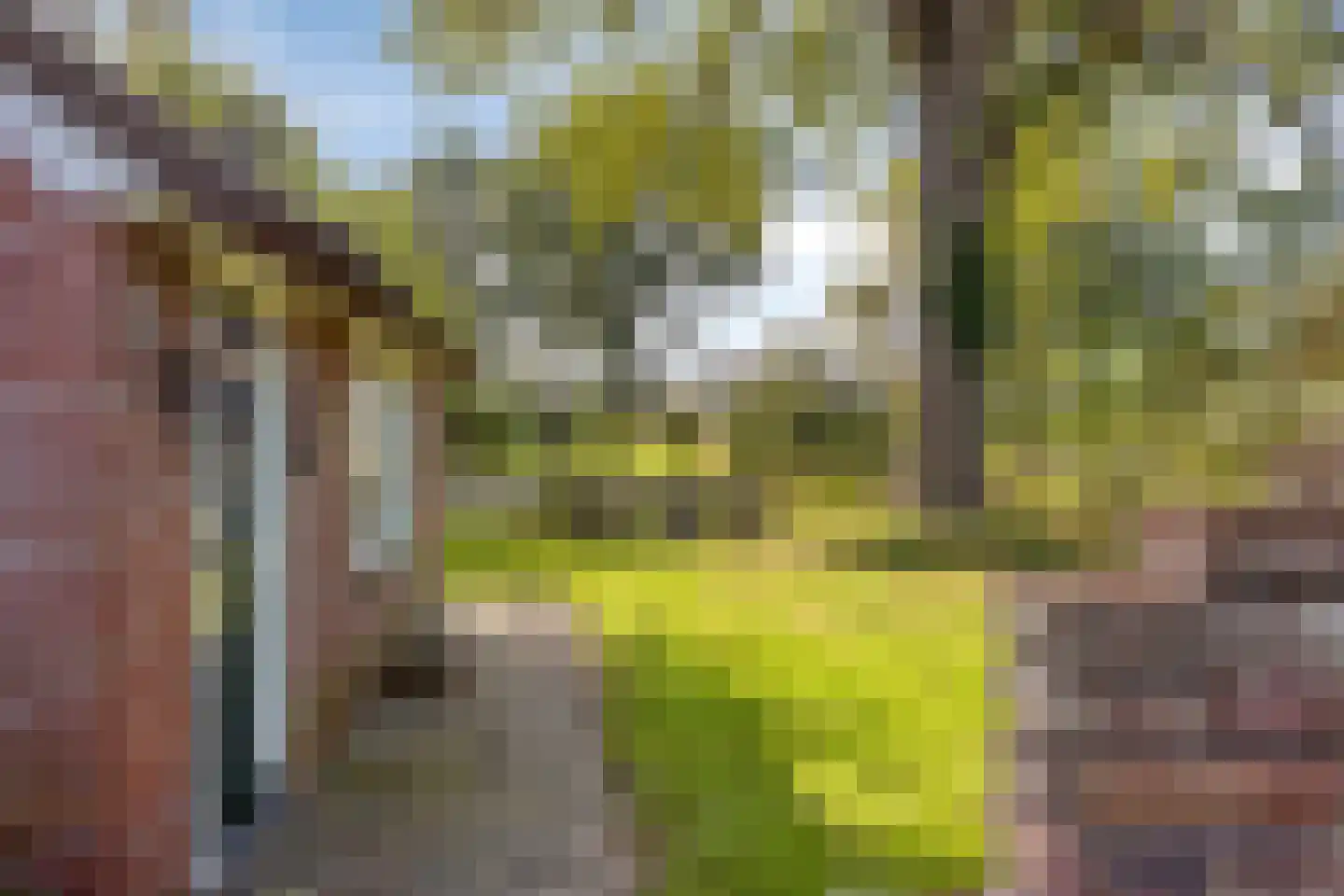 Luttekeveldweg 11 Markelo thumbnail 75