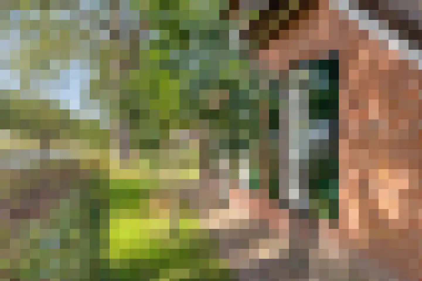 Luttekeveldweg 11 Markelo thumbnail 76