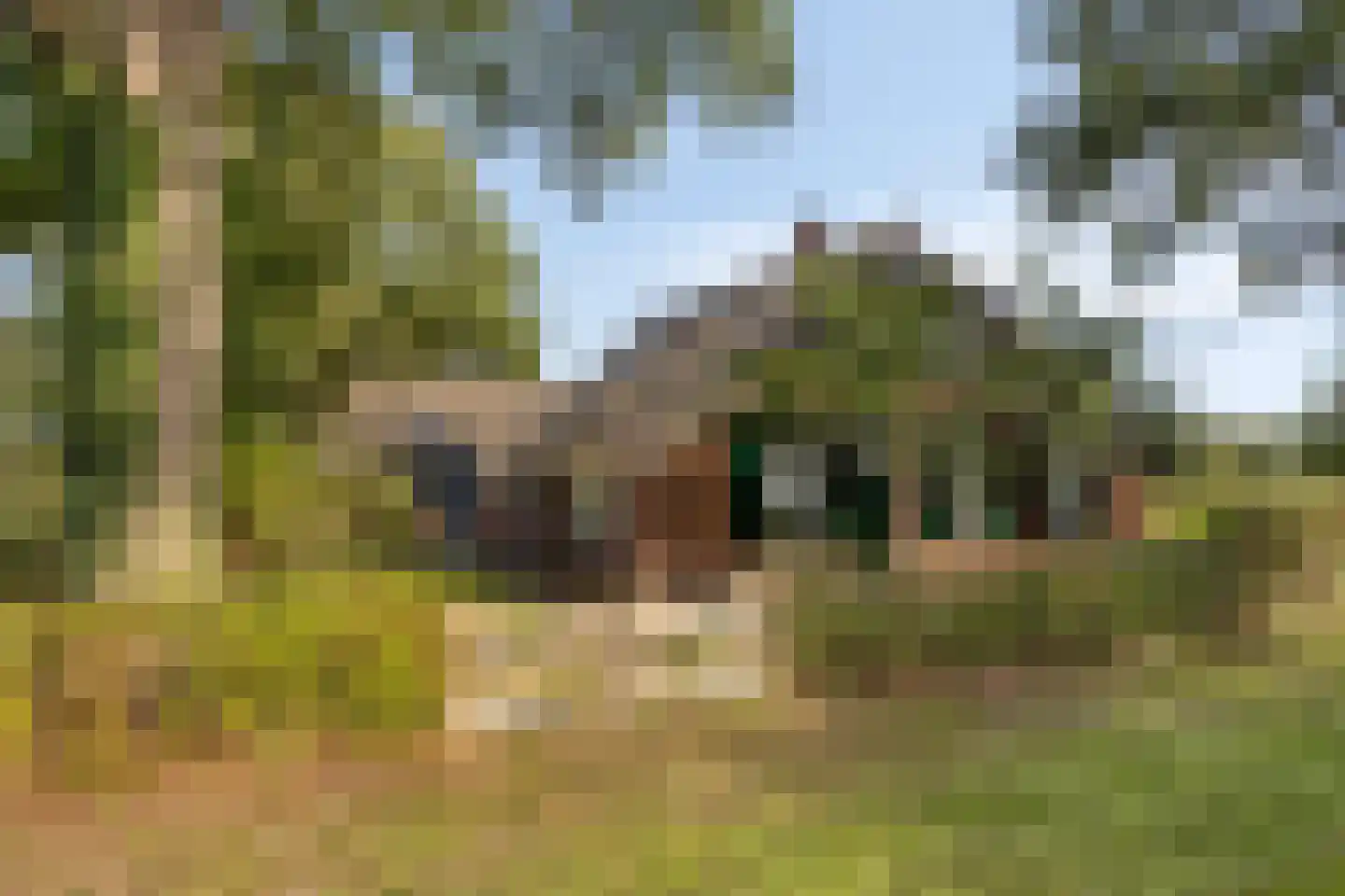 Luttekeveldweg 11 Markelo thumbnail 78