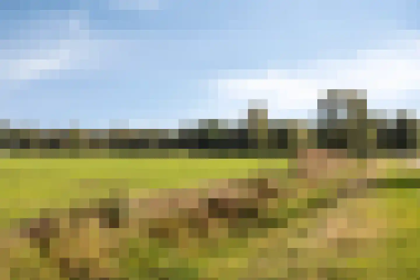 Luttekeveldweg 11 Markelo thumbnail 80