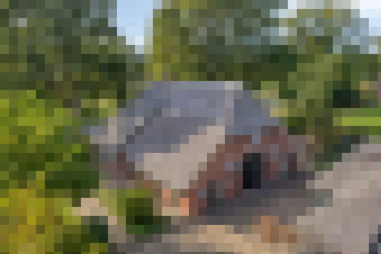 Luttekeveldweg 11 Markelo thumbnail 9