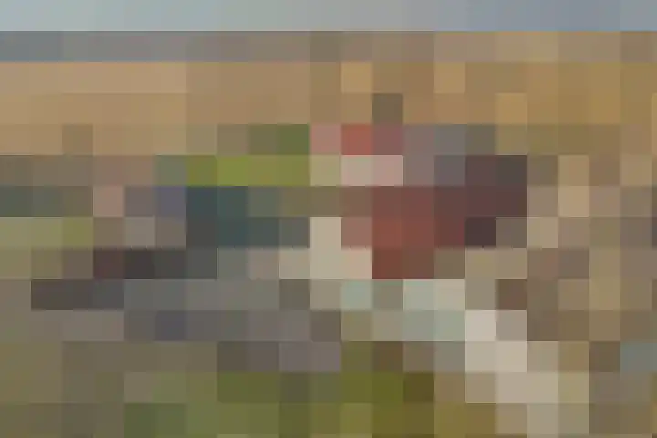 Luttelgeesterweg 15 Luttelgeest thumbnail 54
