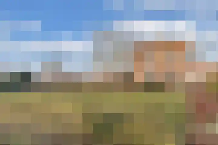Luttelgeesterweg 15 Luttelgeest thumbnail 6