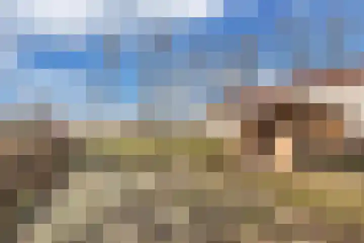 Luttelgeesterweg 15 Luttelgeest thumbnail 9