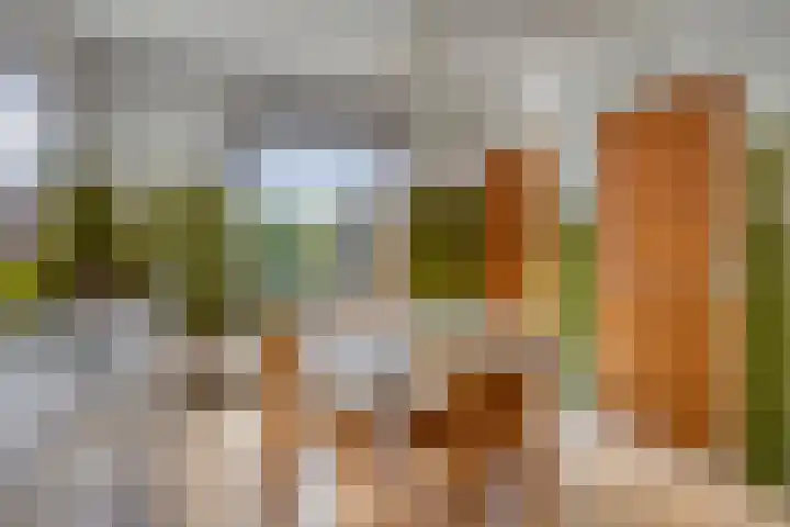 Luttelherptseweg 1 A Herpt thumbnail 21