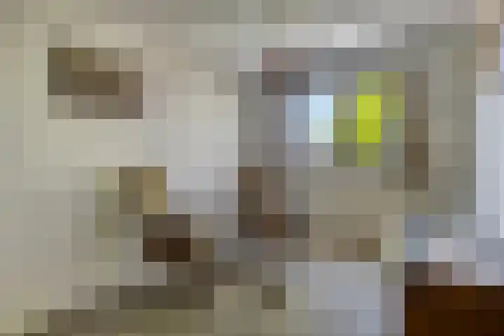 Luttelherptseweg 1 A Herpt thumbnail 33