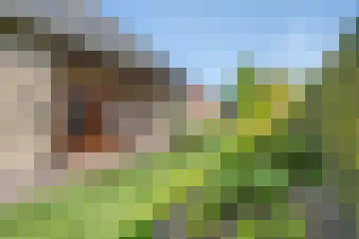 Luttelherptseweg 1 A Herpt thumbnail 39