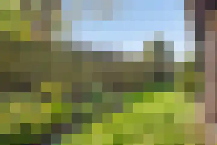 Luttelherptseweg 1 A Herpt thumbnail 40