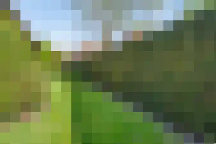 Luttelherptseweg 1 A Herpt thumbnail 42