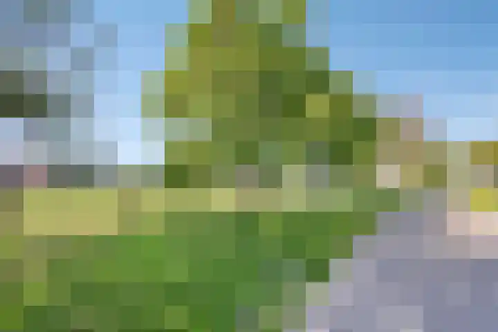 Luttelherptseweg 1 A Herpt thumbnail 44