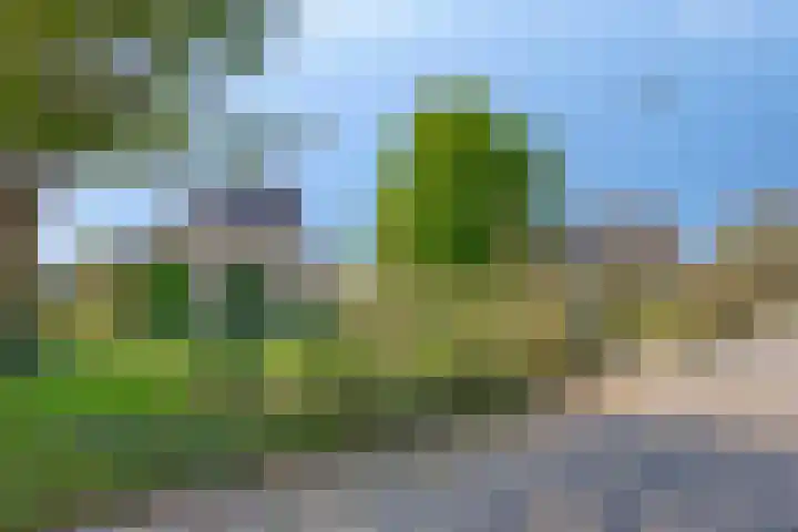 Luttelherptseweg 1 A Herpt thumbnail 5