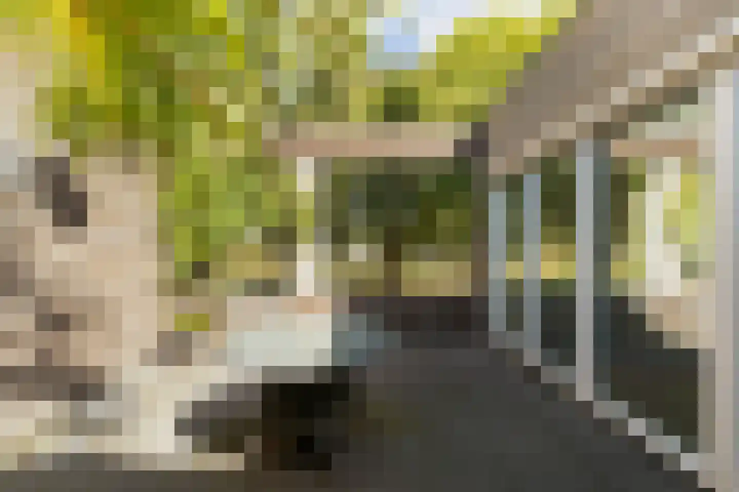 Luttelhof 4 Prinsenbeek thumbnail 31