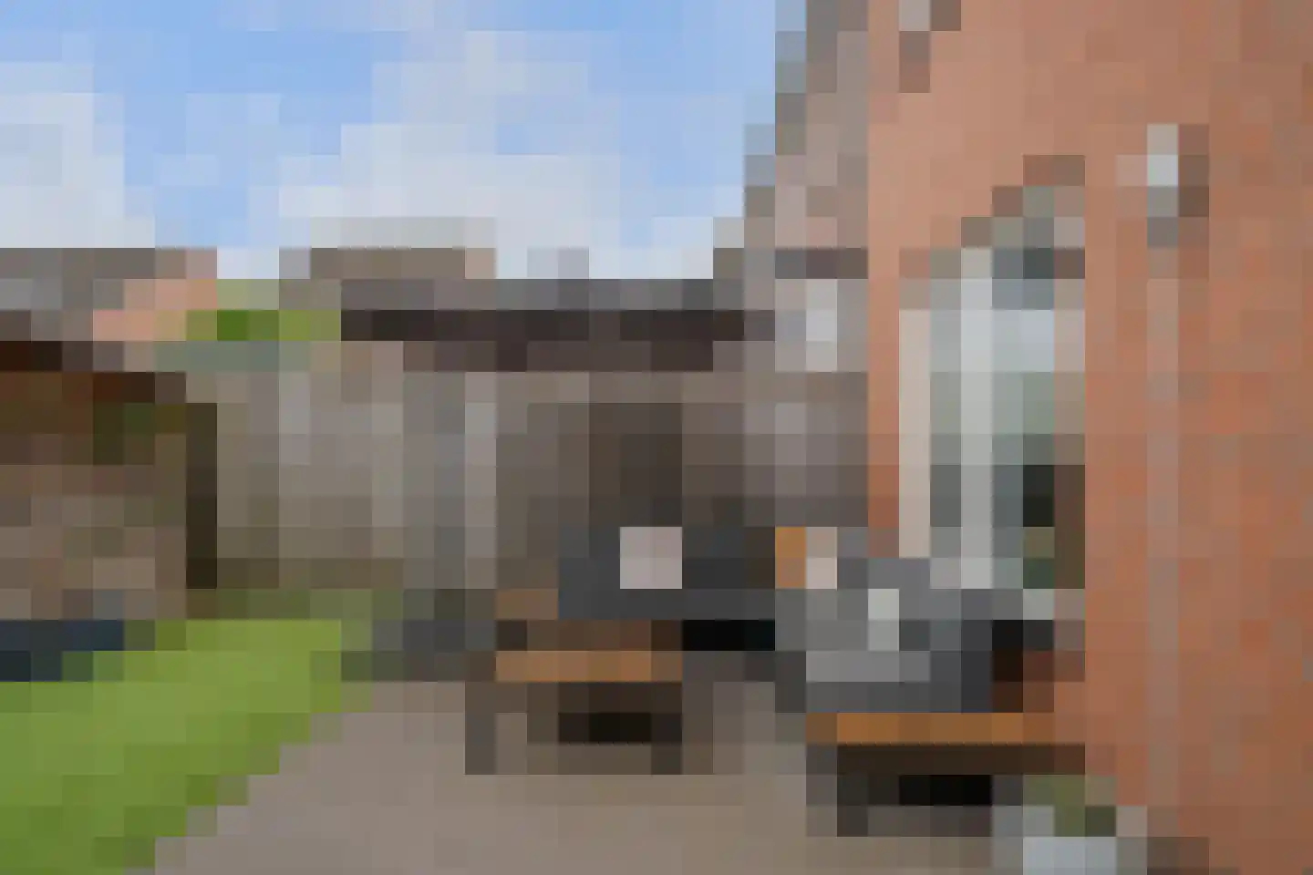 Luttelseweg 5 Sevenum thumbnail 33