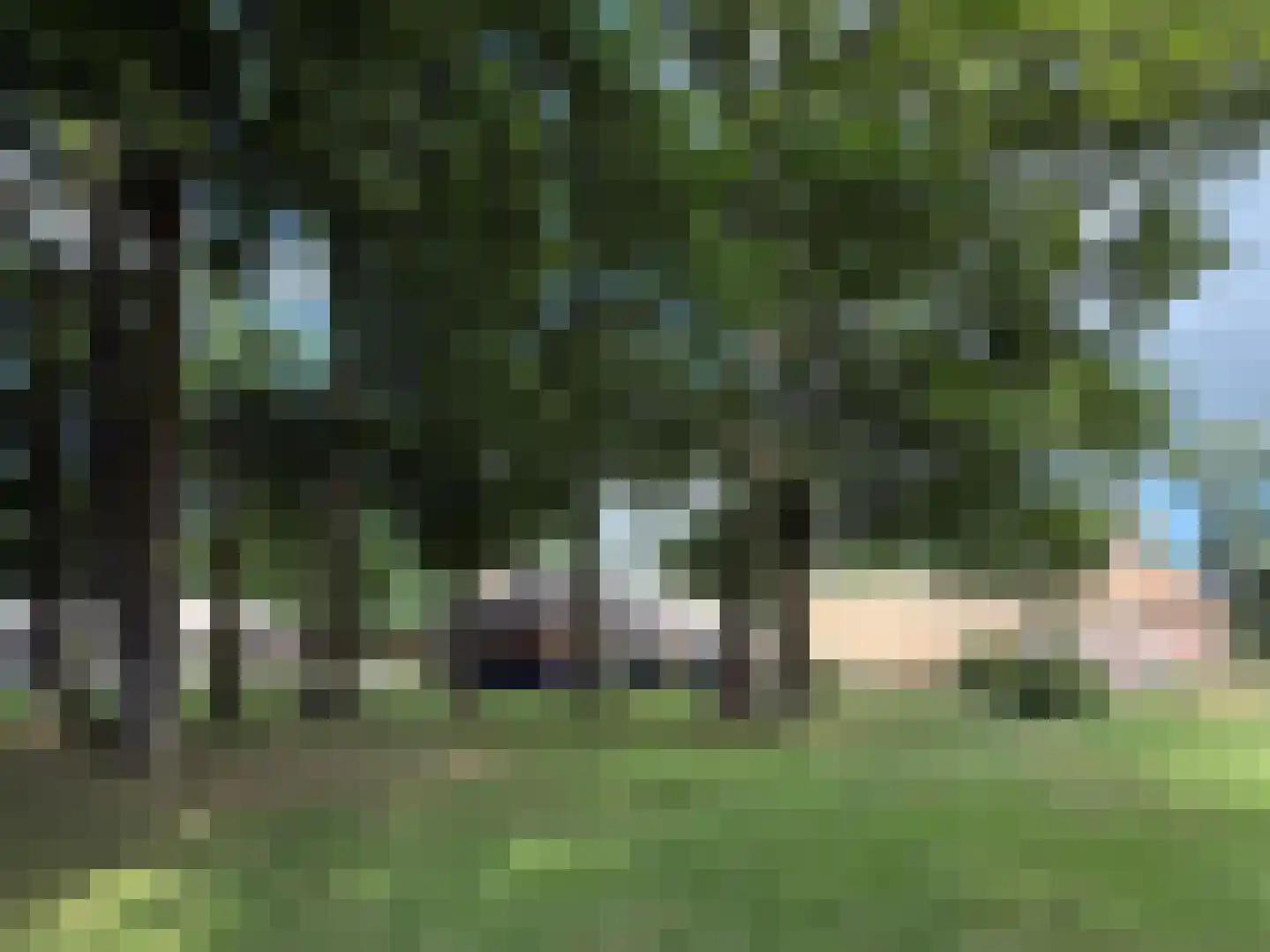 Lutten Oever 7 Balkbrug thumbnail 10